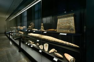 Gallery Thumbnail 2
